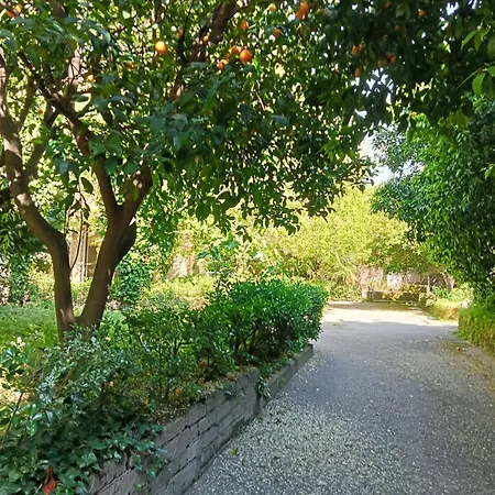 Bed & Breakfast A Casa Di Giuseppa Natura Bio Caserta
