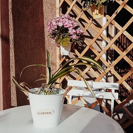 A Casa Di Giuseppa Natura Bio Bed & Breakfast *